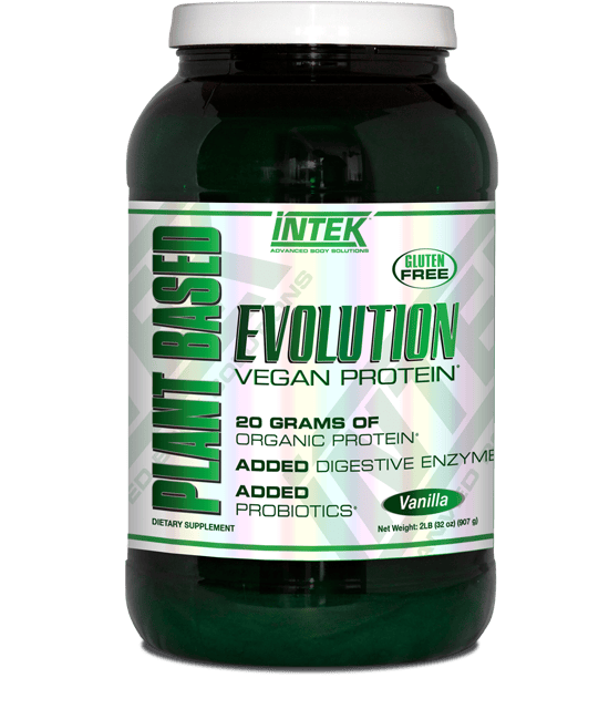 Intek Plant  Based Protein Evolution