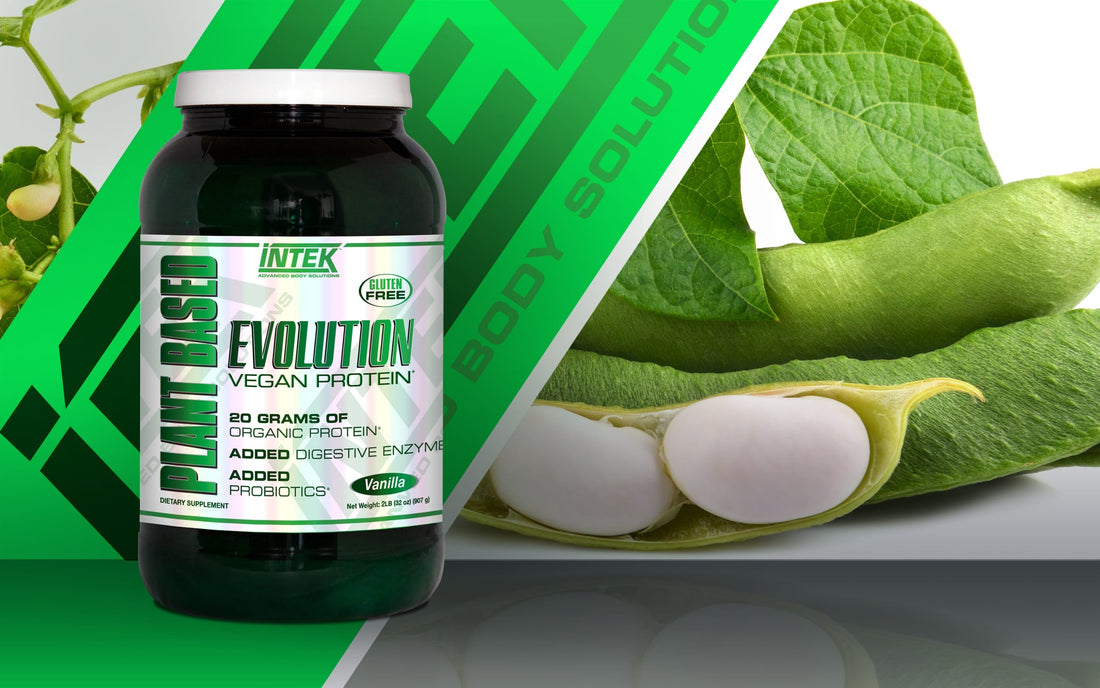 Intek Plant  Based Protein Evolution